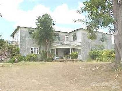 Barbados Luxury Elegant Properties Realty, The Plantation House