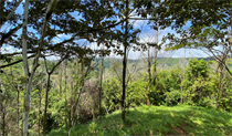 Lots and Land for Sale in Tinamastes, Puntarenas $66,000