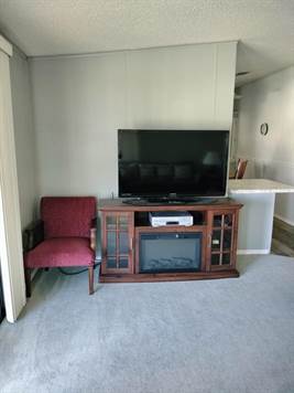 TV & Console w/fireplace