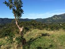 Lots and Land for Sale in Hato Puerco, Villalba, Puerto Rico $1,880,000