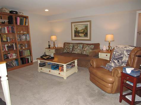 Lower level living room (2)