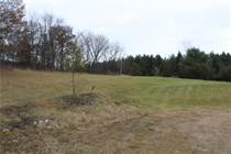 Lots and Land for Sale in Wisconsin, Dunn, Wisconsin $175,000