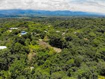 Lots and Land for Sale in Manuel Antonio, Puntarenas $229,000