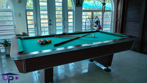 Pool table in the Roofed back terrace