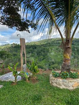 Costa Rica Real Estate - Avocado Farm