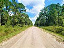 Lots and Land for Sale in Hastings, Florida $30,000
