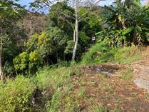 Lots and Land for Sale in Escobal, Atenas, Alajuela $85,000