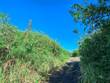 Lots and Land for Sale in Naalehu, Hawaii $75,000