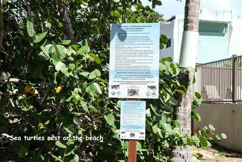 Save the turtle nests sign