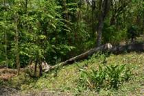 Lots and Land for Sale in Tarcoles, Puntarenas $145,000
