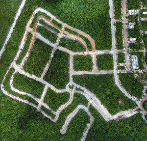 AMAZING PROJECT of lots for sale in TULUM VIEW