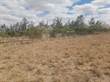 Lots and Land for Sale in Kitengela, Athi River KES1,050,000