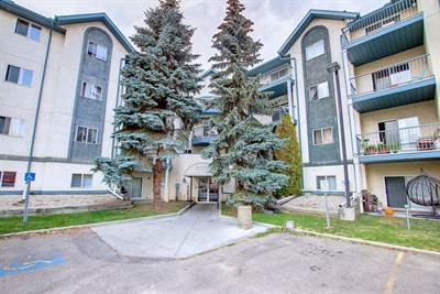 2508 - 50 Street, Suite 113, Edmonton, Alberta