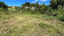 Lots and Land for Sale in Galateo Alto, Isabela, Puerto Rico $45,653