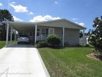 Homes for Sale in Brookridge, Florida $258,000