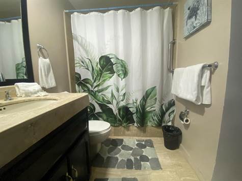 Pinacate Guest Shower