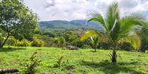 Farms and Acreages for Sale in Boca De Barranca, Puntarenas $550,000