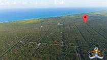 Lots and Land for Sale in Tulum, Quintana Roo $80,000