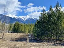 Lots and Land for Sale in Valemount, British Columbia $148,500
