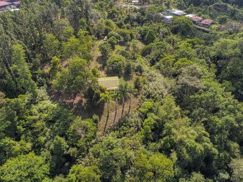 Costa Rica Real Estate Farms and Land
