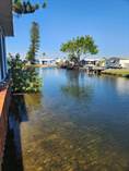 Homes for Sale in Hawaiian Isles, Ruskin, Florida $99,900