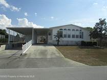 Homes for Sale in Brookridge, Florida $269,000
