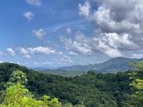 Lots and Land for Sale in Playa Grande, Guanacaste $310,000