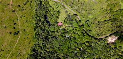 Finca Naturaleza Property, Fully Functioning and Working Farm in Beautiful Rio Celeste