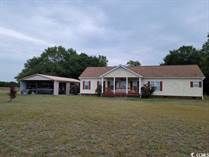 Homes for Sale in Johnsonville, South Carolina $600,000