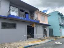 Commercial Real Estate for Sale in Pueblo, Caguas, Puerto Rico $135,000