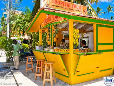 Tropical fruit stand