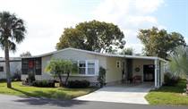 Homes for Sale in The Meadows at Country Wood, Plant City, Florida $47,500