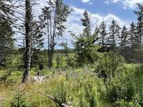 Lots and Land for Sale in New Ross, Nova Scotia $72,000