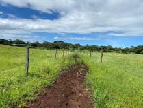 Lots and Land for Sale in Cañas, Guanacaste $550,000