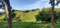 Lots and Land for Sale in Bo. Cruces, Rincon, Puerto Rico $150,000