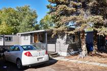 Homes for Sale in NE Crescent Heights, Medicine Hat, Alberta $42,000