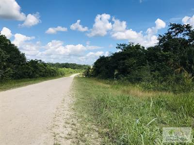 Belize 5.9 Acres of Fertile Land near Spanish Lookout