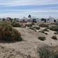Lots and Land for Sale in Sonora, Puerto Penasco, Sonora $30,000