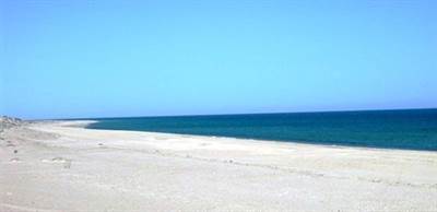 Playa Paloma beach front