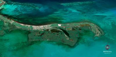 Beachfront Land At Punta Alen , Tulum, Lot MLS-ELTU201, Tulum, Quintana Roo