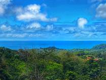 Lots and Land for Sale in Ojochal, Puntarenas $135,000