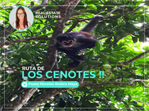 Lots and Land for Sale in Ruta de los Cenotes, Puerto Morelos, Quintana Roo $2,000,000