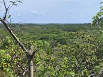 Lots and Land for Sale in Playa Grande, Guanacaste $136,000