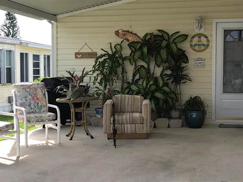LIVE PLANTS, FRONT SITTING AREA