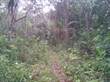 Lots and Land for Sale in Maskall Area , Belize $40,000