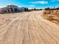 Homes for Sale in Ejido Plan Nacional Agrario, Baja California $50,000
