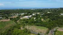 Lots and Land for Sale in Bo. Calvache, Rincon, Puerto Rico $399,000