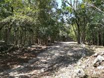 Homes for Sale in Coba, Quintana Roo $11,652