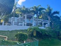Homes for Sale in Bo. Quebradilla, Barranquitas, Puerto Rico $398,999