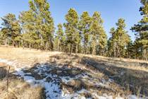Lots and Land for Sale in Rapid City, South Dakota $1,890,000